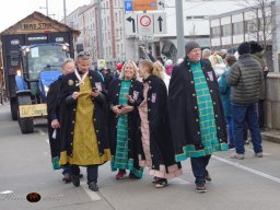 Simmeringer Faschingsumzug 2025